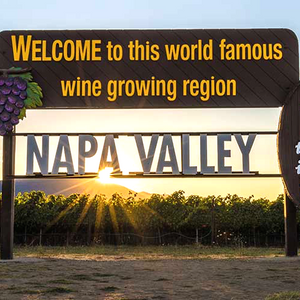Wines of Napa Valley