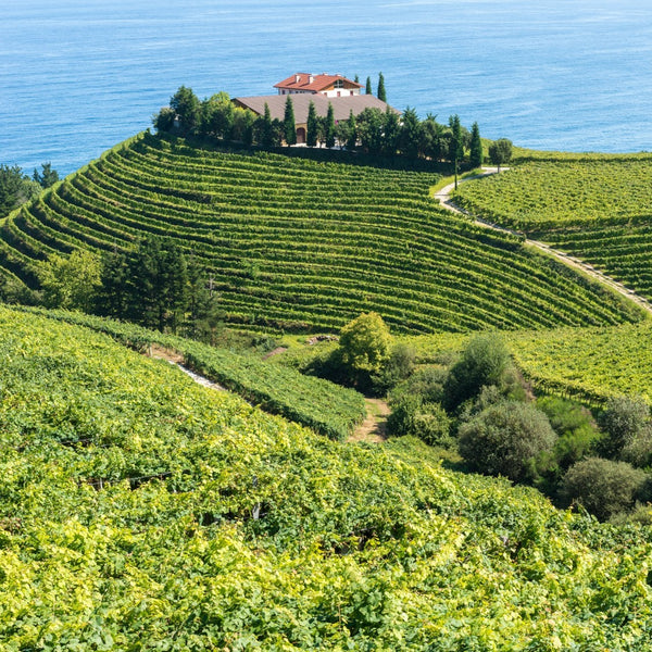 Wines of Green Spain
