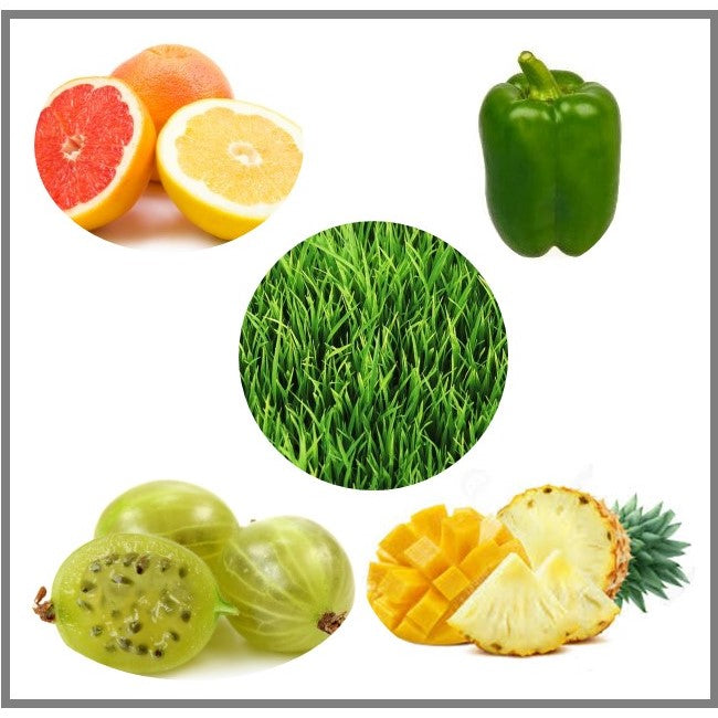 Flavor profile of Sauvignon Blanc wine highlighting fresh cut grass, tropical fruit, and green bell pepper aromas that capture the crisp, vibrant character of this varietal.