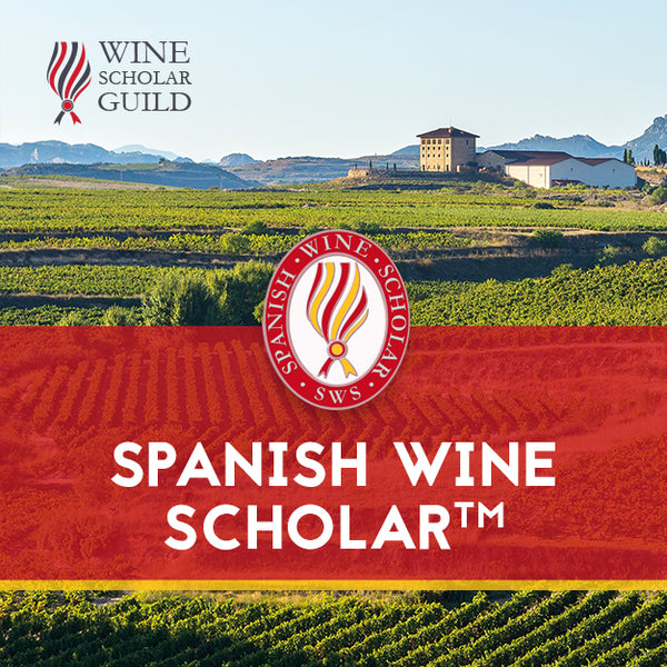 Spanish Wine Scholar Program featuring a vineyard landscape and the program's logo.
