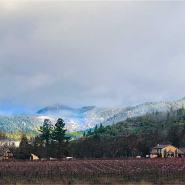 A scenic view of a Northwest wine region with rolling hills and mist in the background, featuring a vineyard and a house in the foreground.