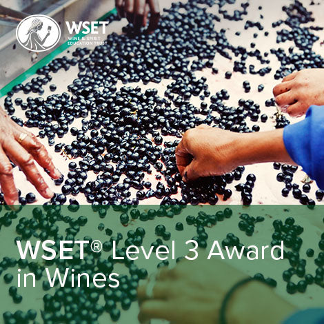 WSET Level 3 by Grape Experience - Advanced Certification Program