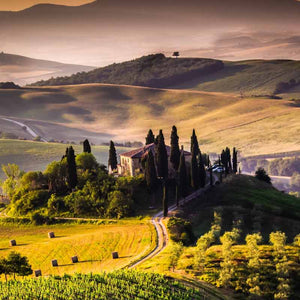 Rolling countryside and vineyards in Toscana, Italy