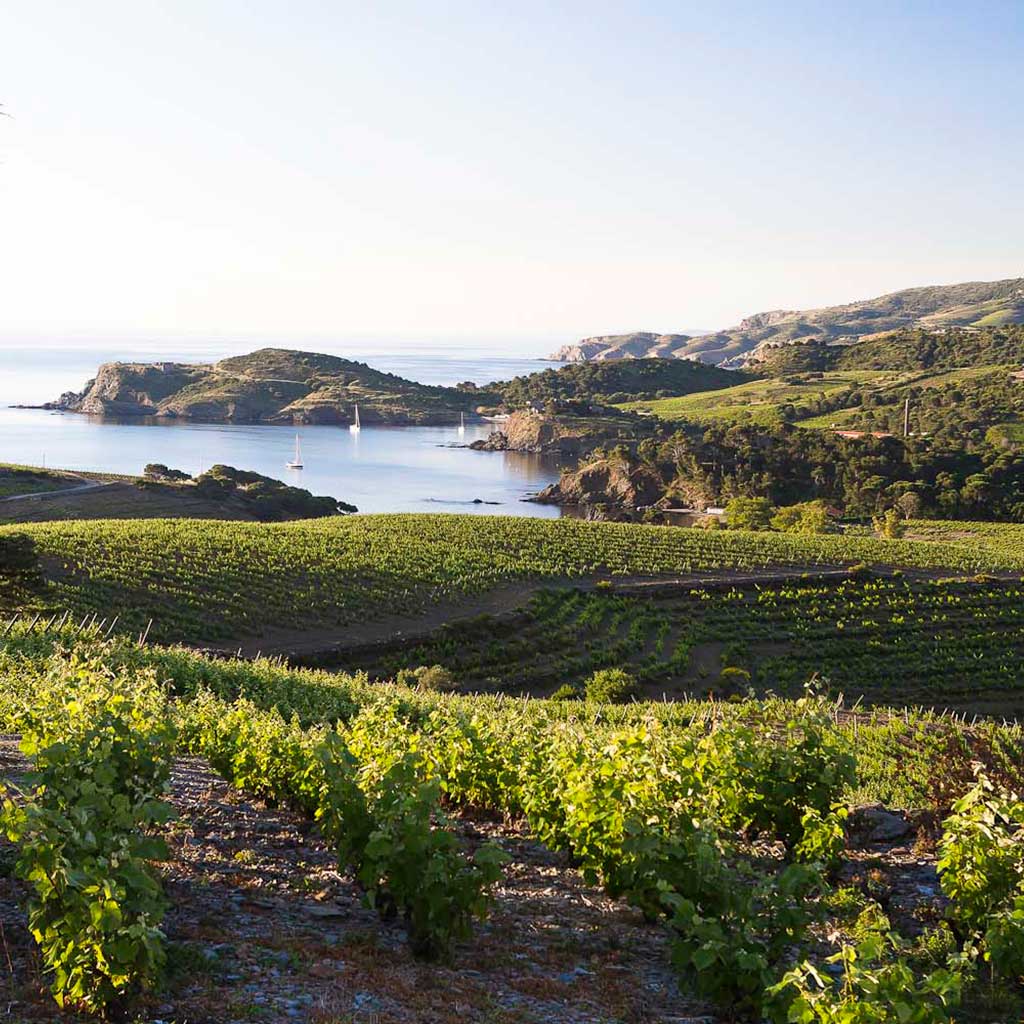 Provence, Languedoc & Roussillon